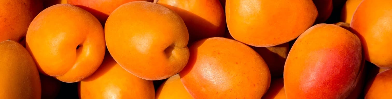 Bannières abricots