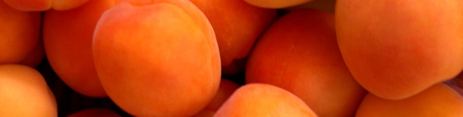 Banni&egrave;re abricots