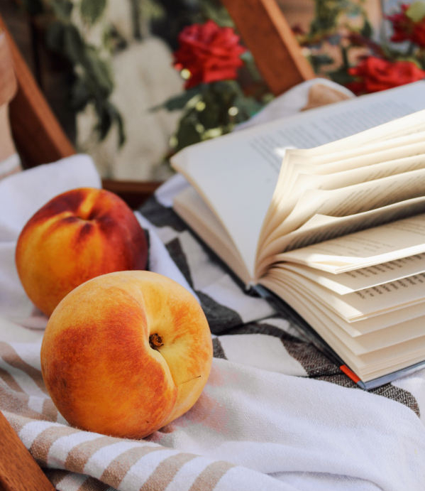 P&ecirc;ches pique-nique avec un livre