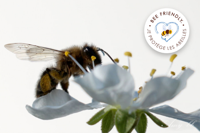 beeFriendly(1) beeFriendly(1)