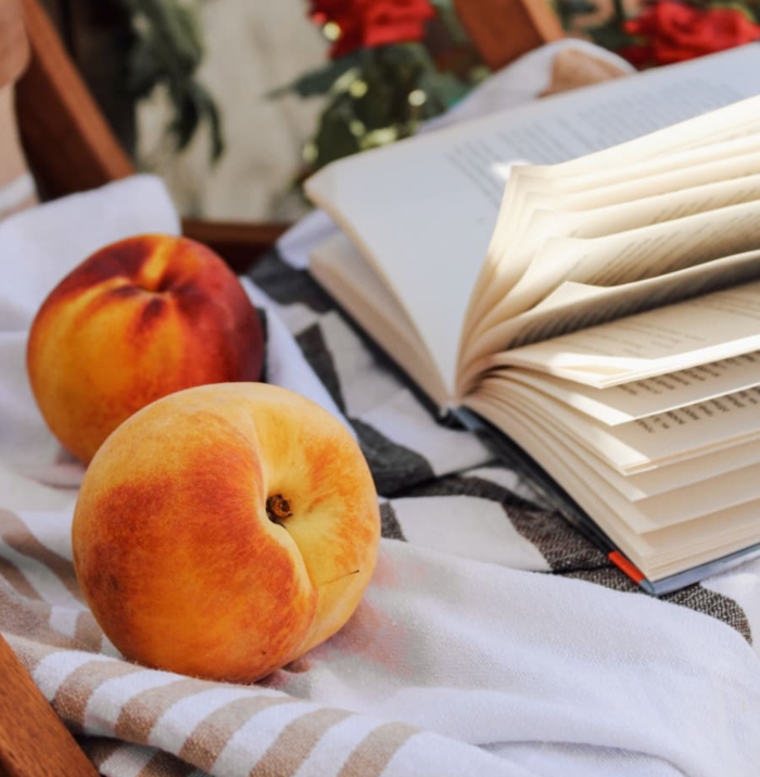 P&ecirc;ches pique-nique avec un livre